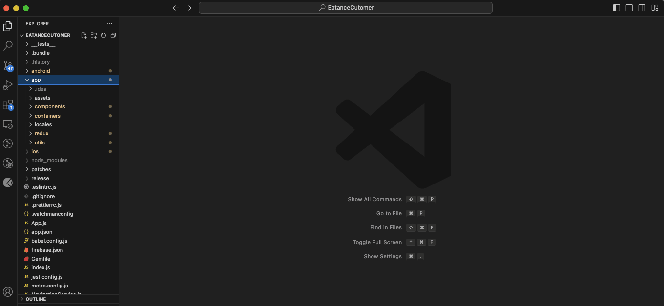 Visual Studio Code interface