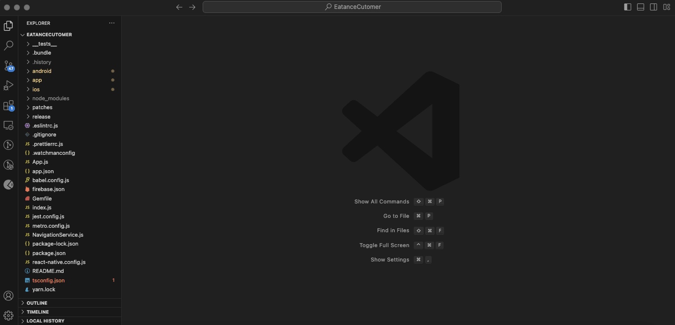 Visual Studio Code interface